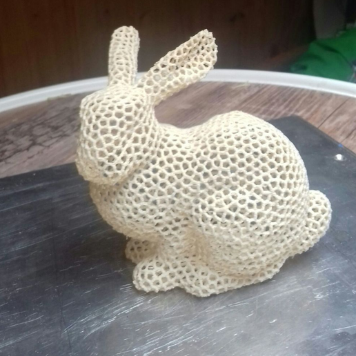 Capture d’écran 2017-05-05 à 16.58.12.png Bunny Voronoi - with support. Rabbit Voronoi with support